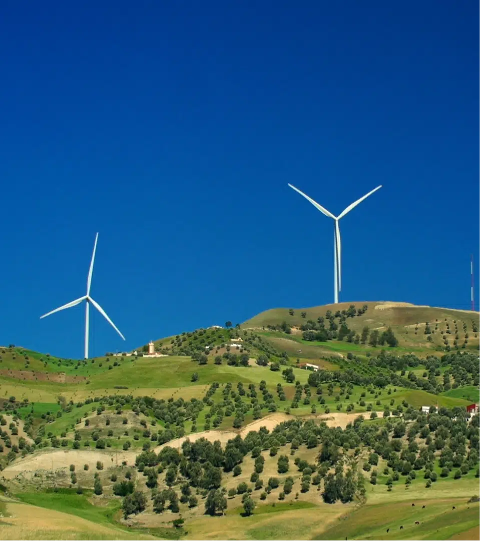 TAZA_-EDF-Renewables-builds-and-operates-its-first-wind-farm-in-Morocco.png