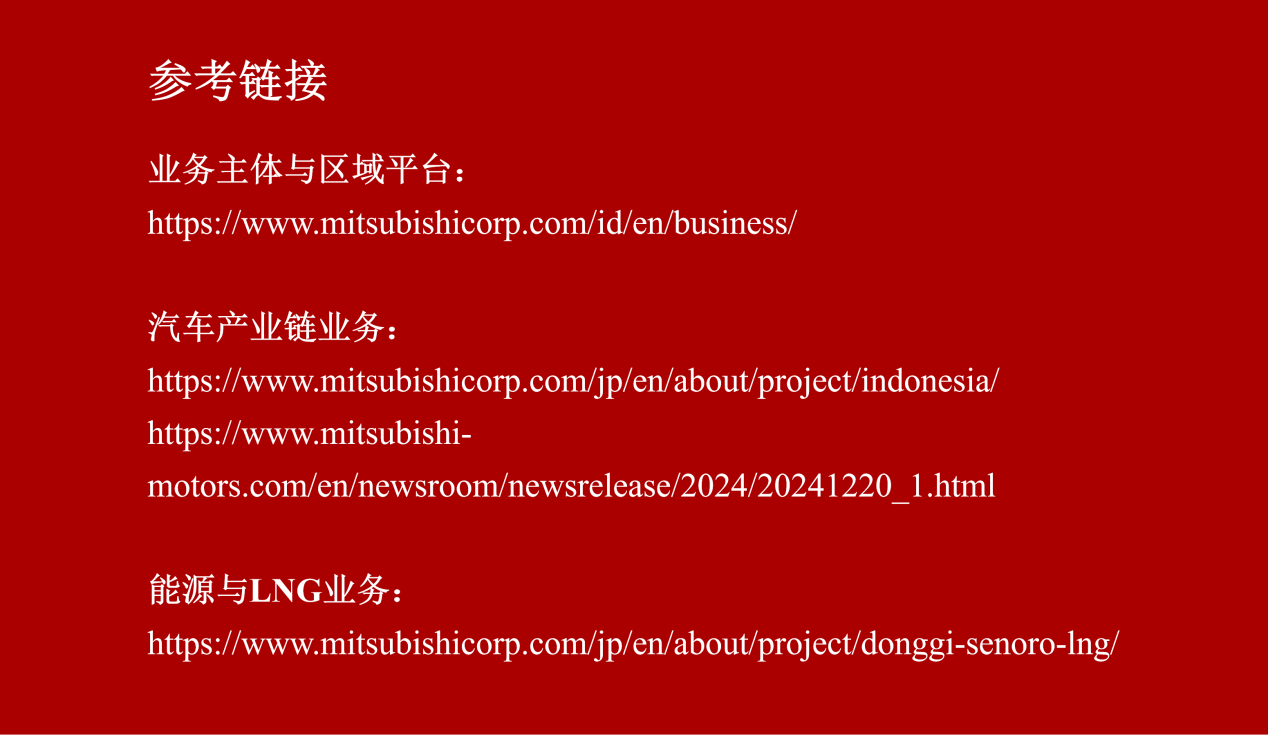 三菱商事产业地图-印度尼西亚(图片4)