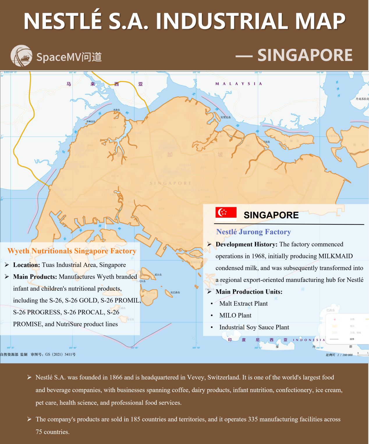 雀巢公司产业地图-新加坡(英文)