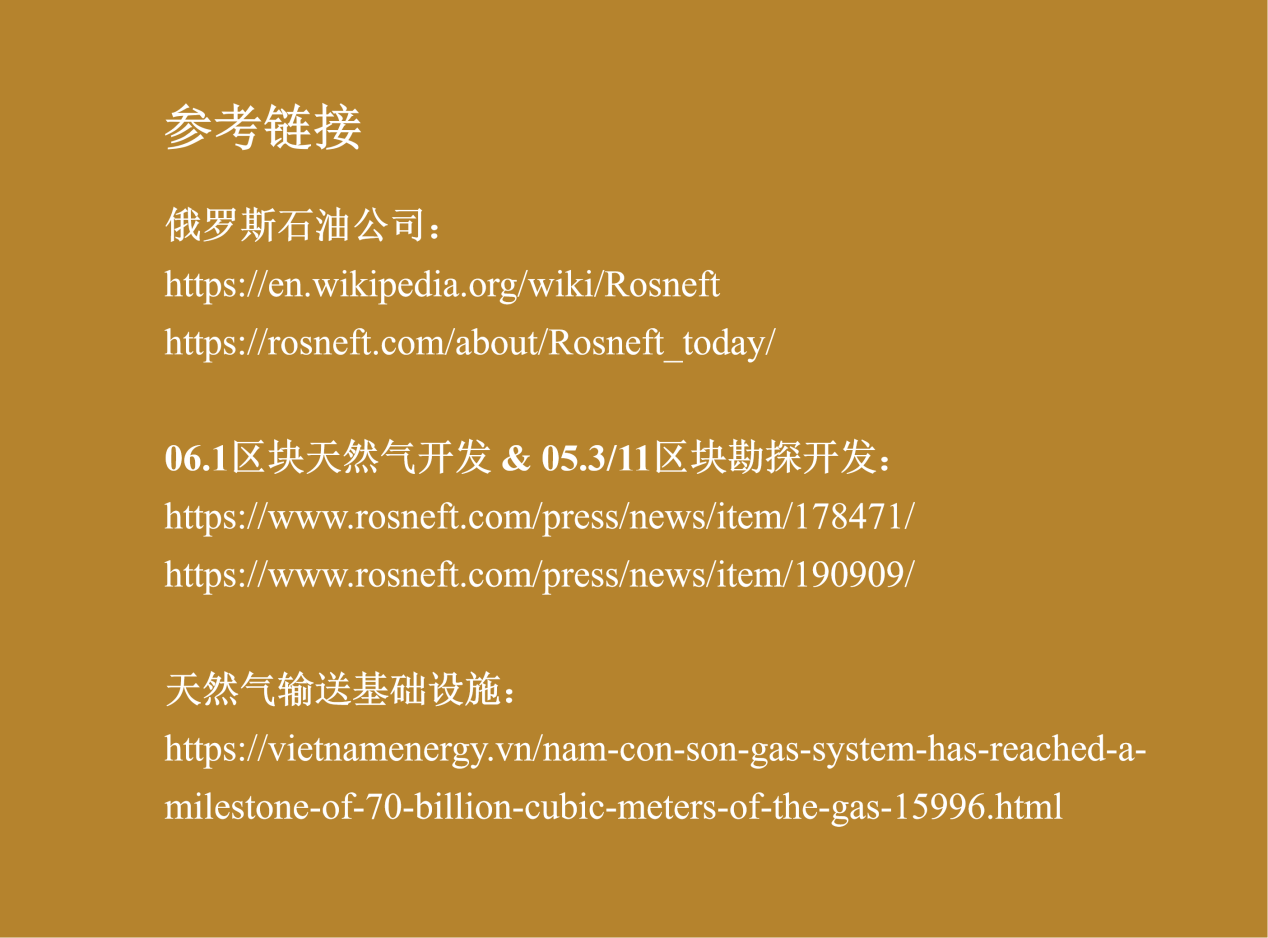 俄罗斯石油产业地图-越南（图片2）